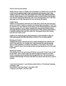 Tips for Lawn Care and Aeration - Everything, everywhere, all at once